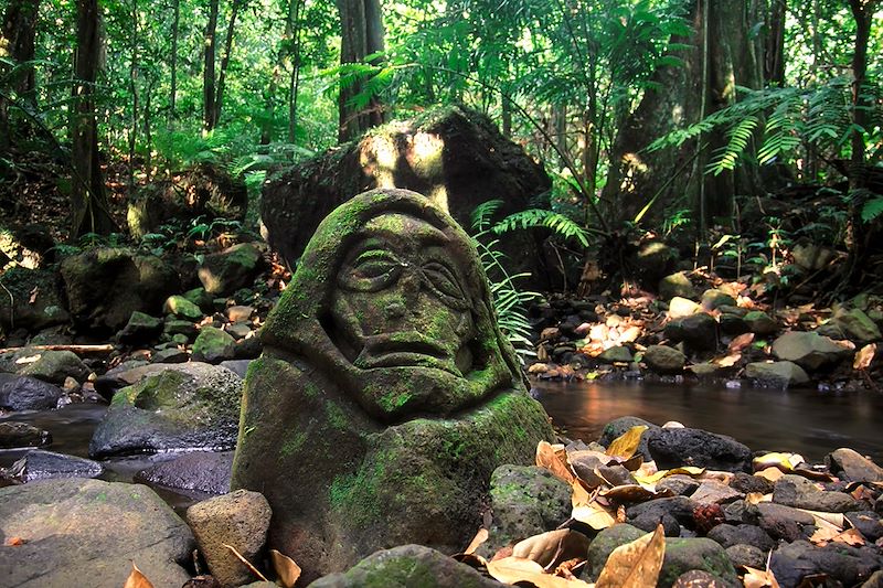 Site archéologique sur Moorea - Polynésie Française