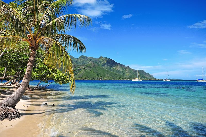 Plage de Moorea - Archipel de la Société - Polynésie