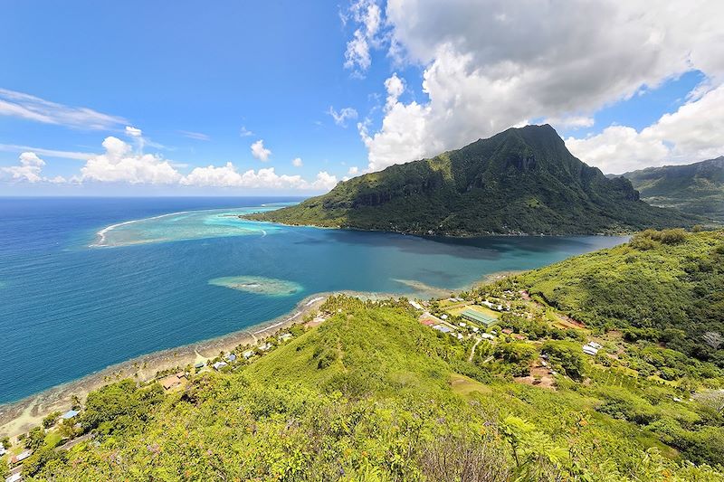 Vue sur la baie d'Opunohu - Île de Moorea - Polynésie