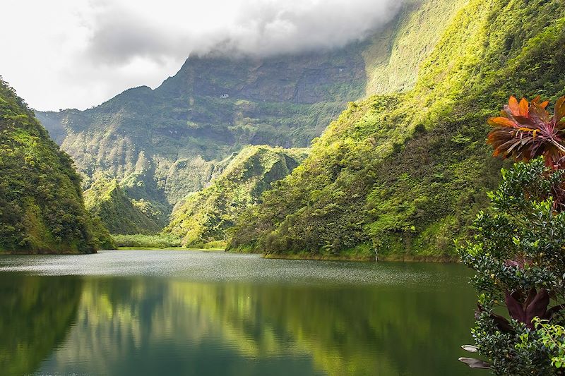 ITERE Verveine bleue - rando moorea vtt excursion plantes tahiti