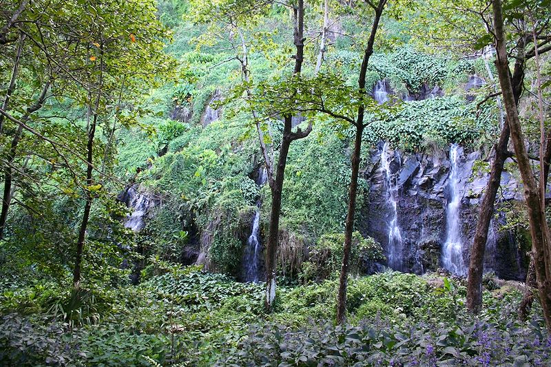 Anse des cascades - Sainte Rose - La Réunion