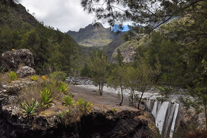 La Réunion, un van de liberté 