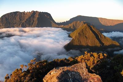 voyage Réunion