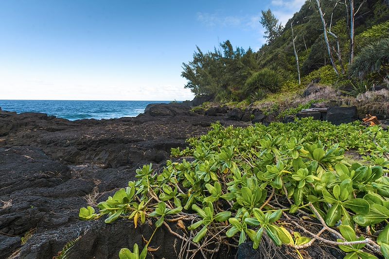 Paysage du Sud Sauvage - La Réunion