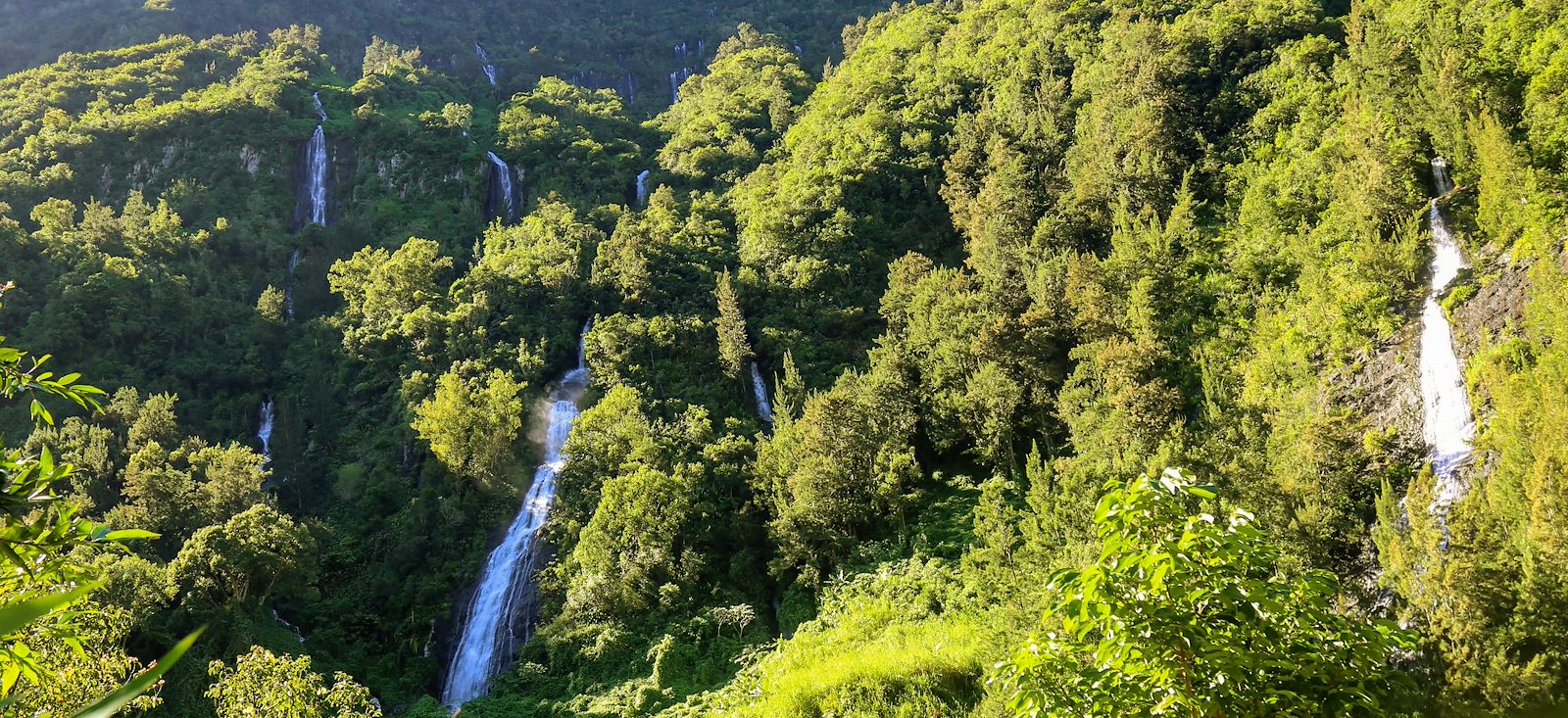 Image D'île en île : Réunion, Maurice & Rodrigues !
