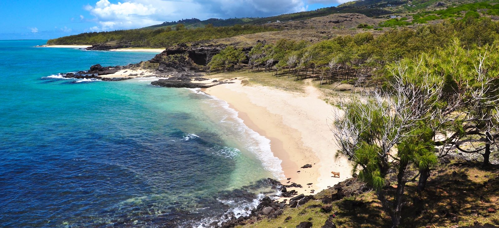 Image D'île en île : Réunion, Maurice & Rodrigues !