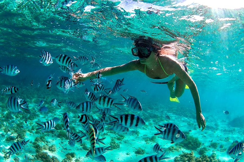 Snorkeling à l'Île Maurice