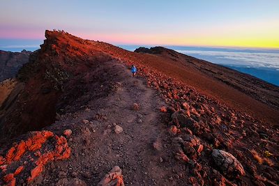 voyage Réunion