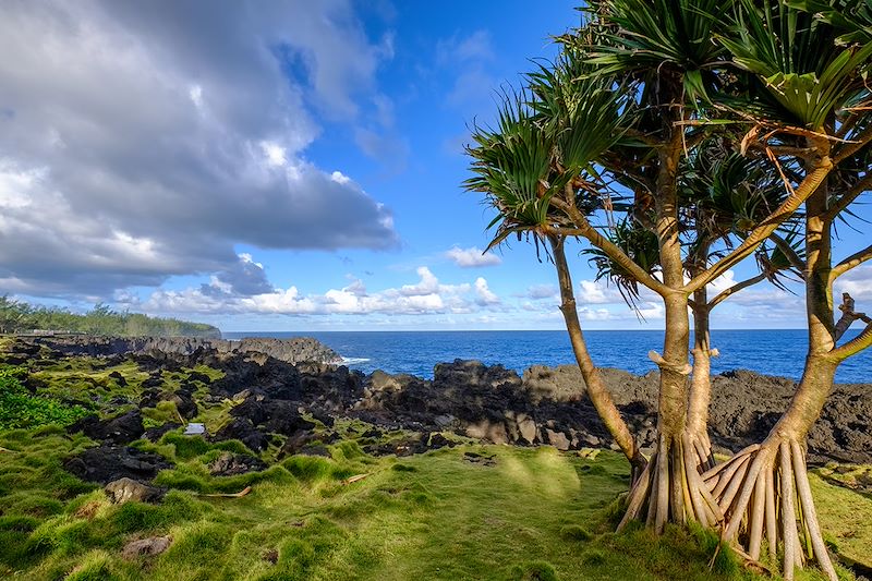 Paysage du Sud Sauvage - Île de la Réunion