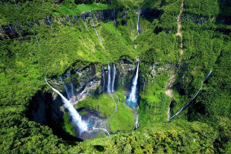 Réunion familiale ! 