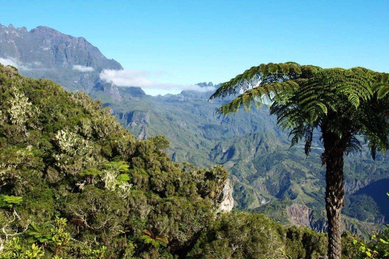 Réunion familiale ! 