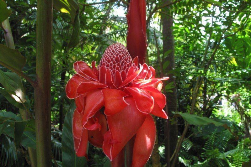 Réunion familiale ! 