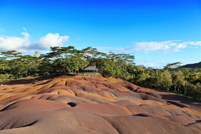 Les Terres des Sept Couleurs - Plaine de Chamarel - Île Maurice