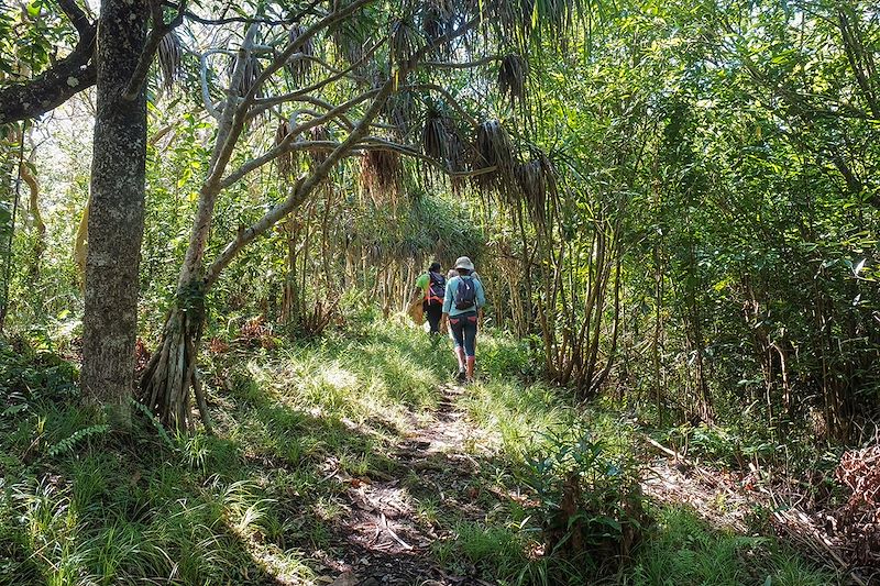 En Réunion à Rodrigues...