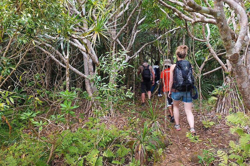 Randonnée à Grande Montagne - Rodrigues