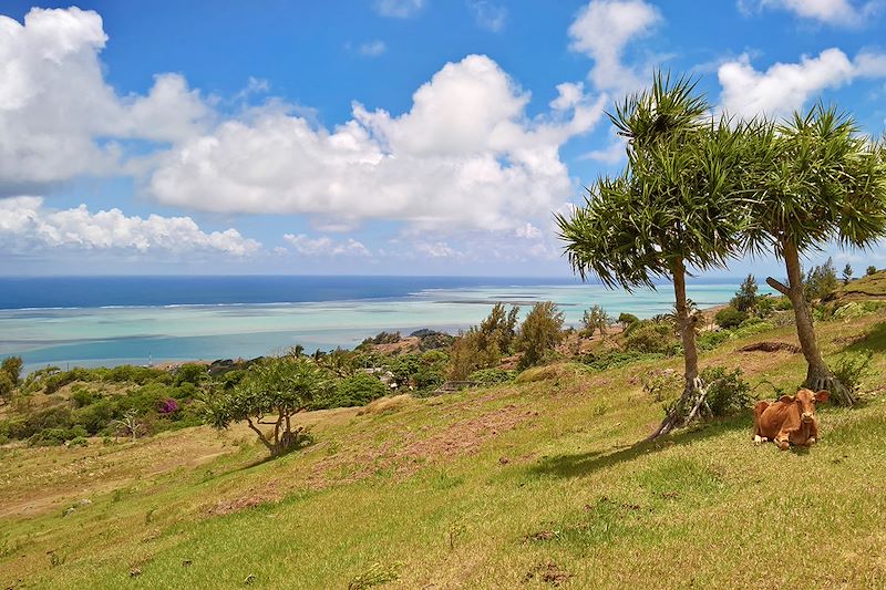 Randonnée de Montagne Malgache à Port Sud-Est - Rodrigues