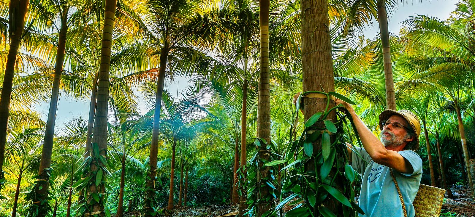 Image En Réunion à Rodrigues...