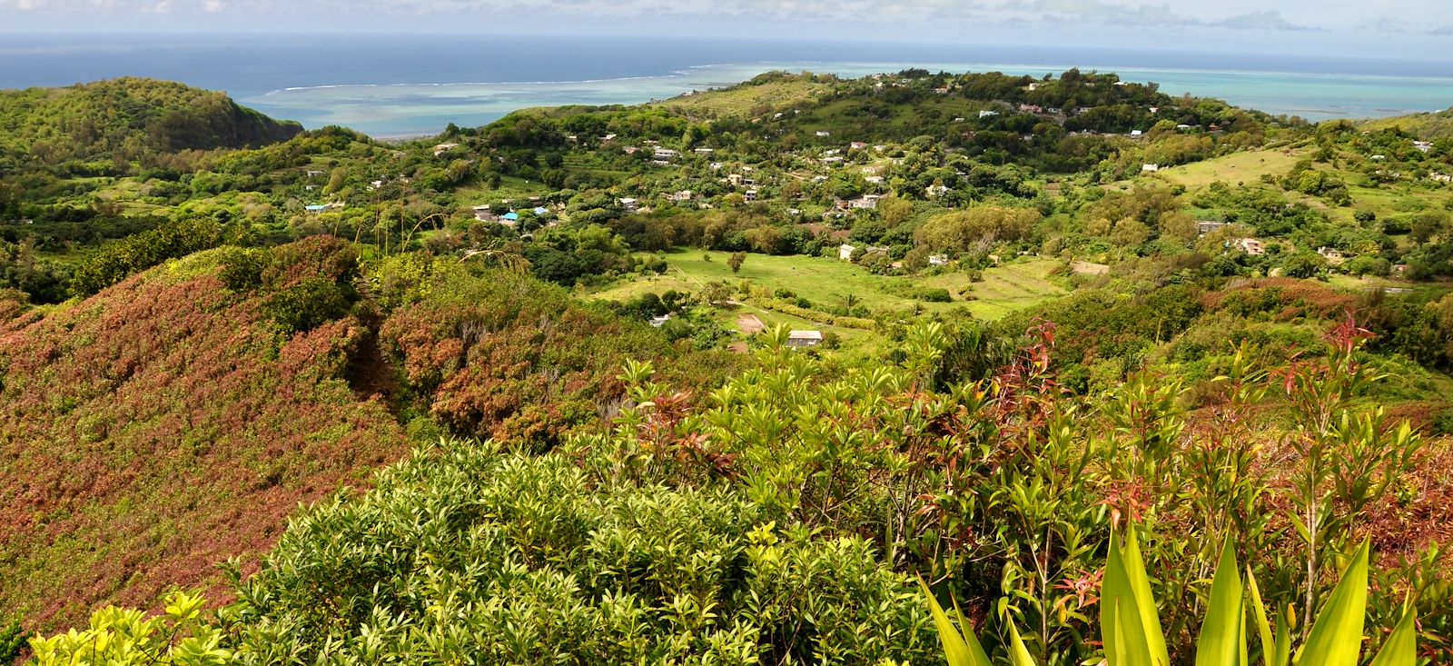 Image En Réunion à Rodrigues...