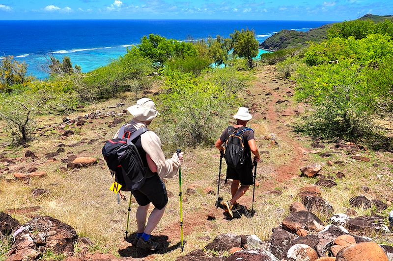 Randonnée vers la rivière Banane depuis le Mont Limon - Rodrigues
