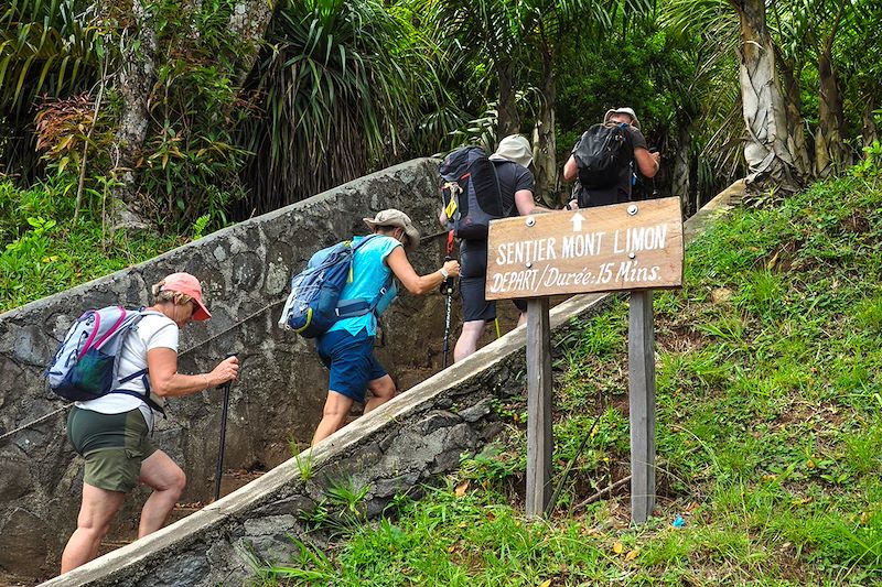 Randonnée au Mont Limon - Rodrigues