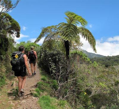 Circuits en petit groupe Réunion