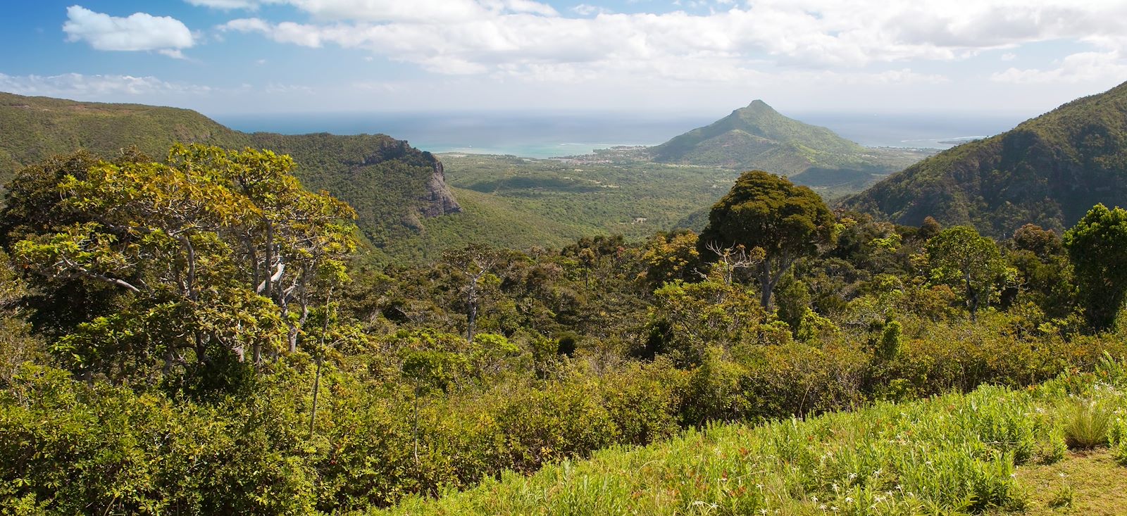 Image En Réunion avec Maurice...