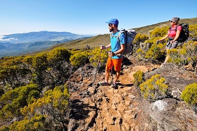 Trek Piton de la Fournaise Réunion Morne Brabant : Merveilleuses randonnées  dans l'Océan Indien - Nomade Aventure