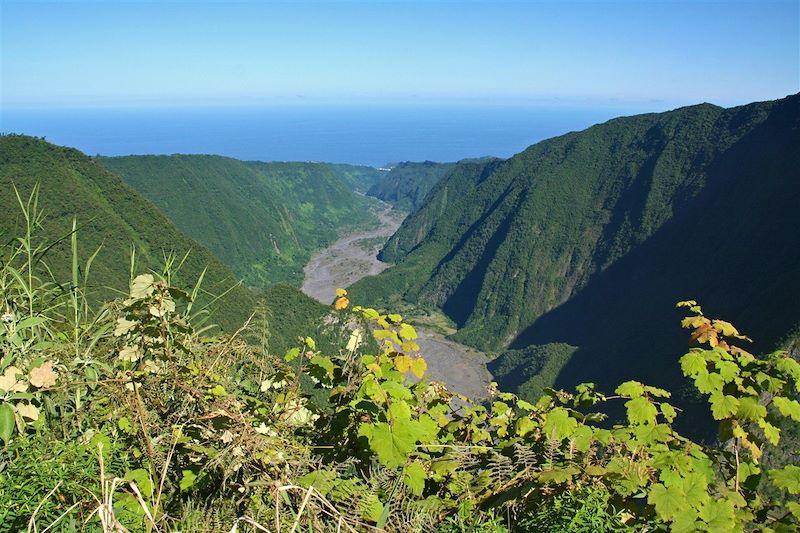 Saveurs créoles de la Réunion à Maurice 