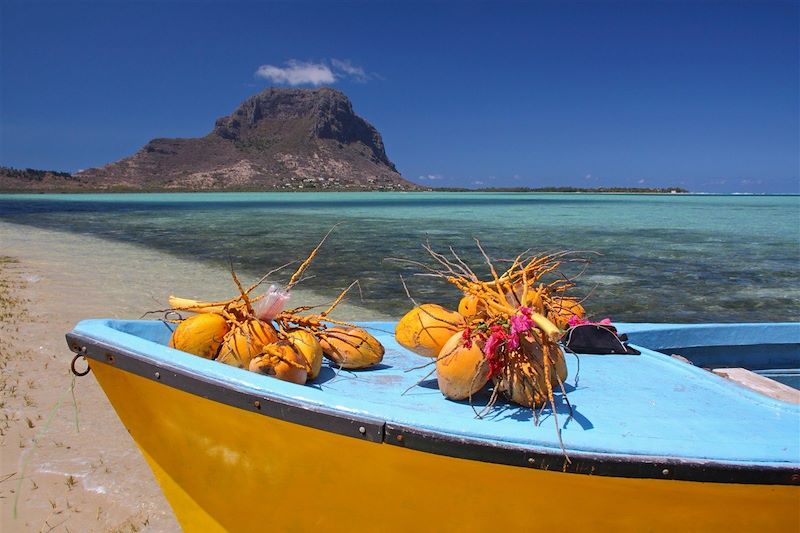 Île aux Bénitiers près du Morne Brabant – Île Maurice