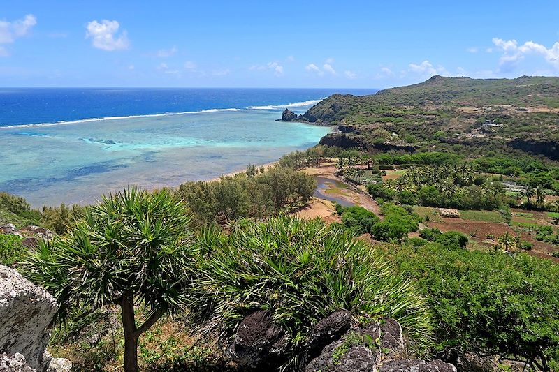 Rodrigues et ses drôles de dames !