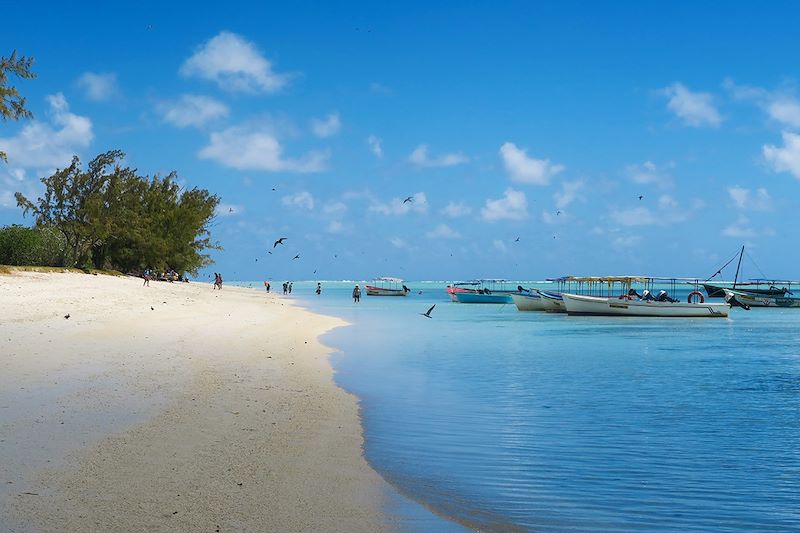 Rodrigues et ses drôles de dames !