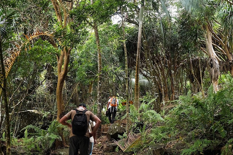 Randonnée à Grande Montagne - Rodrigues