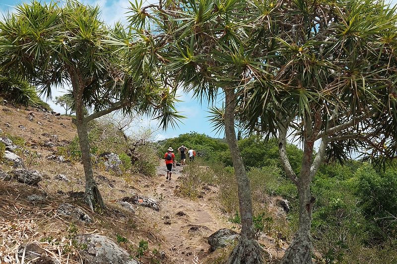 Soyez dans le vent... à Rodrigues !