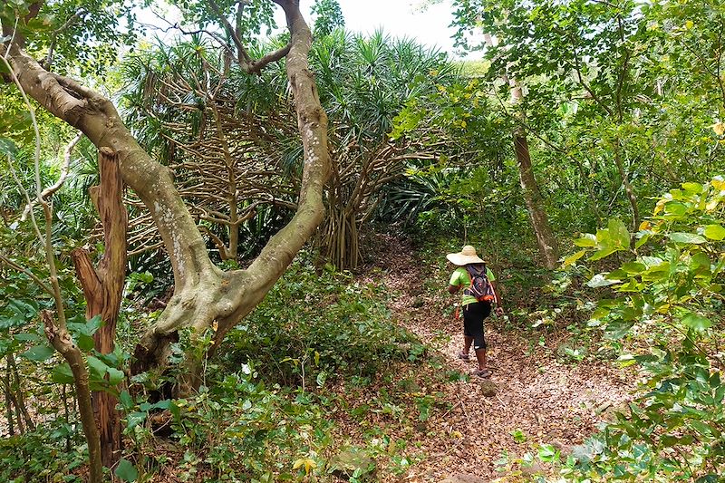 Randonnée de Montagne Malgache à Port Sud-Est - Rodrigues