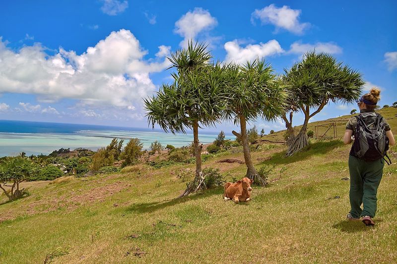 Randonnée de Montagne Malgache à Port Sud-Est - Rodrigues