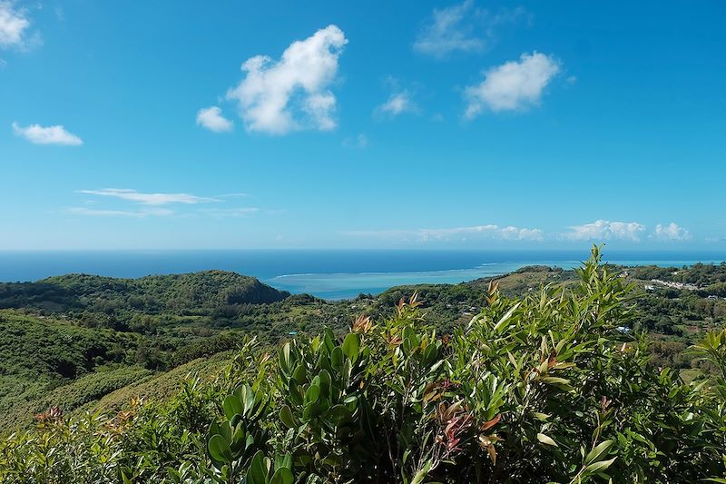 Point de vue depuis le Mont Limon - Rodrigues