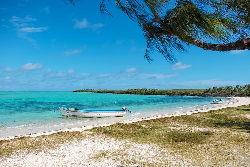 Île aux Chats - Rodrigues