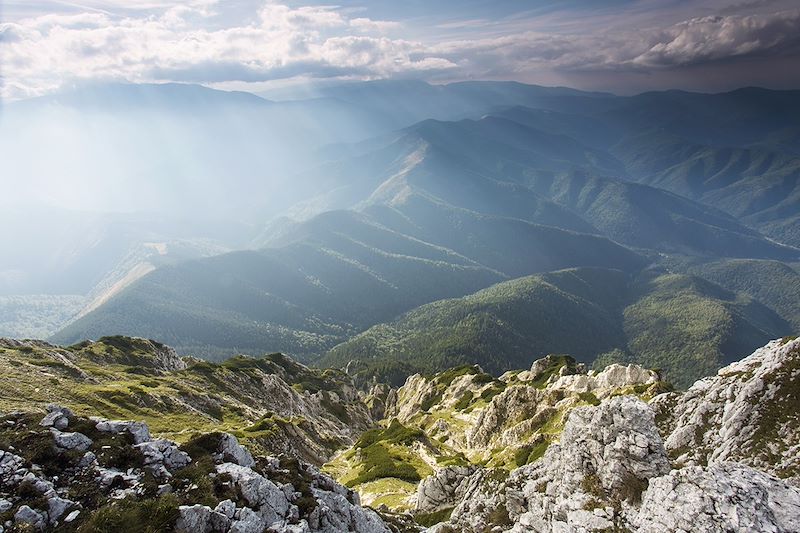 Massif Piatra Craiului - Transylvanie - Roumanie