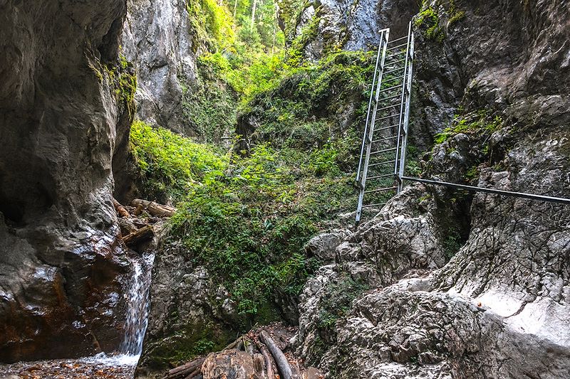 Canyon des 7 Échelles - Roumanie