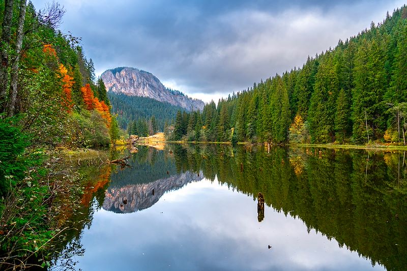 Lac Rouge - Judet de Harghita - Roumanie