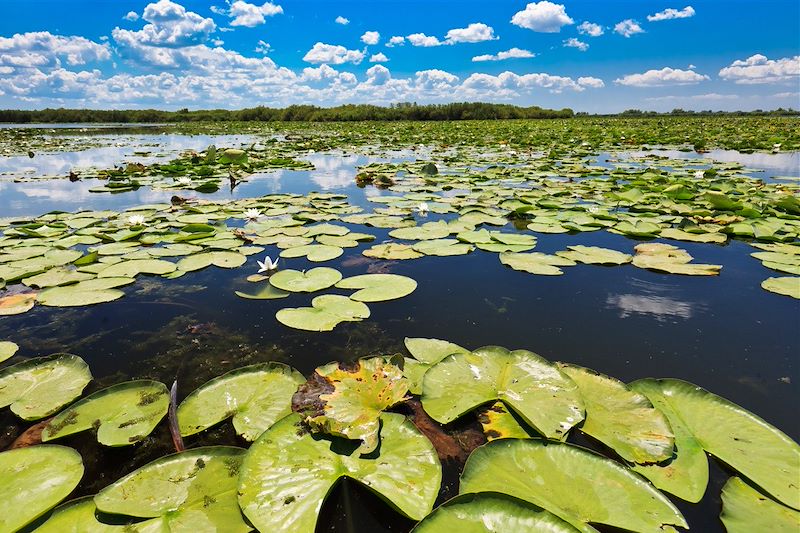 Delta du Danube  - Roumanie