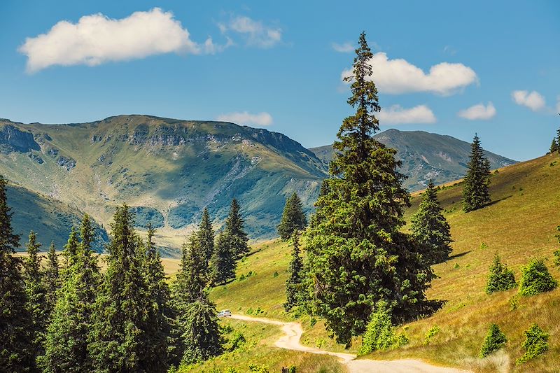 Parc national des Rodna - Roumanie