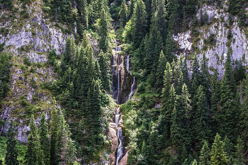 Cascade des Chevaux dans le Parc National des Rodna - Roumanie