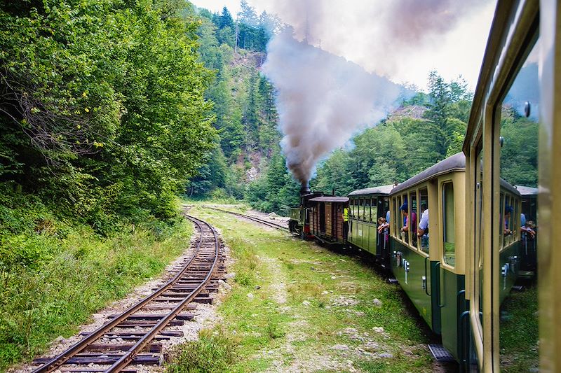 Train à vapeur Mocanita - Maramures - Roumanie