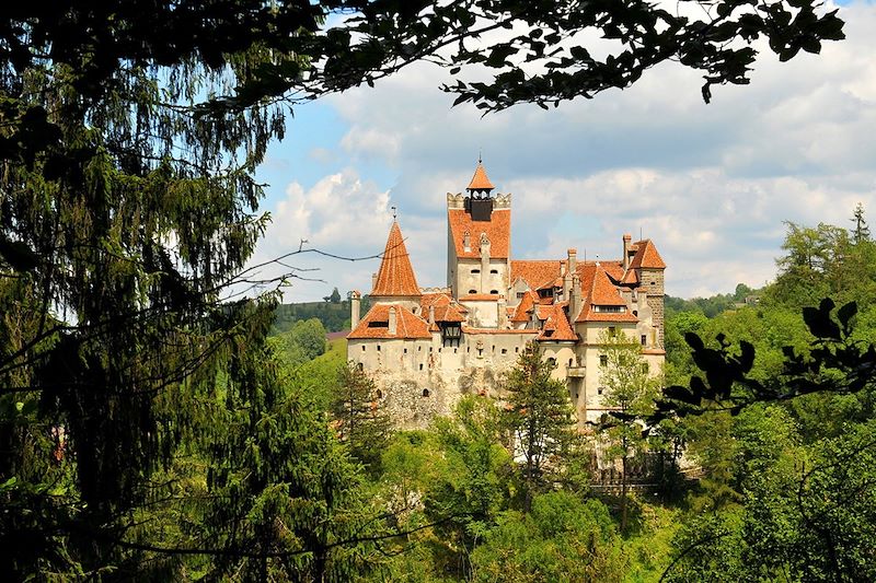 Trek en Roumanie à la découverte du patrimoine et de la nature préservée de Transylvanie, au pays de Dracula !