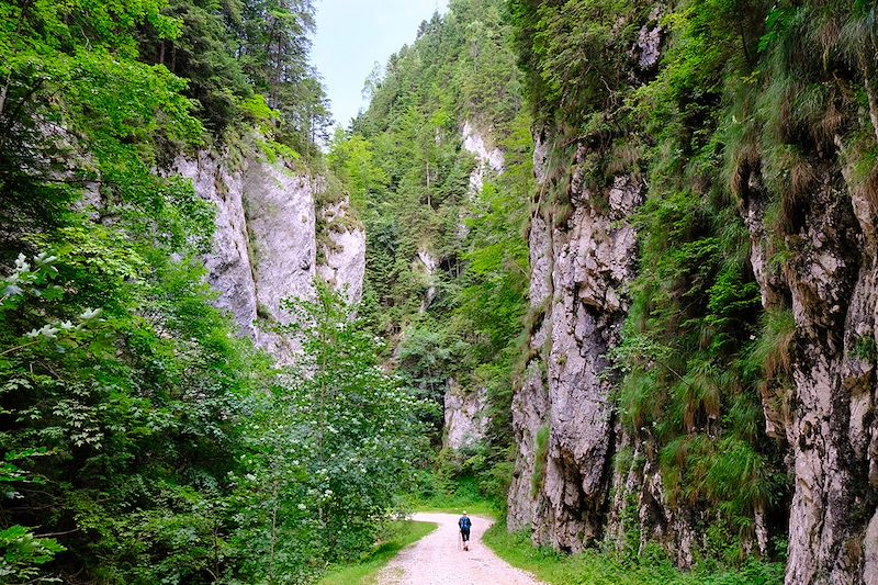 Gorges de Zarnesti - Transylvanie - Roumanie