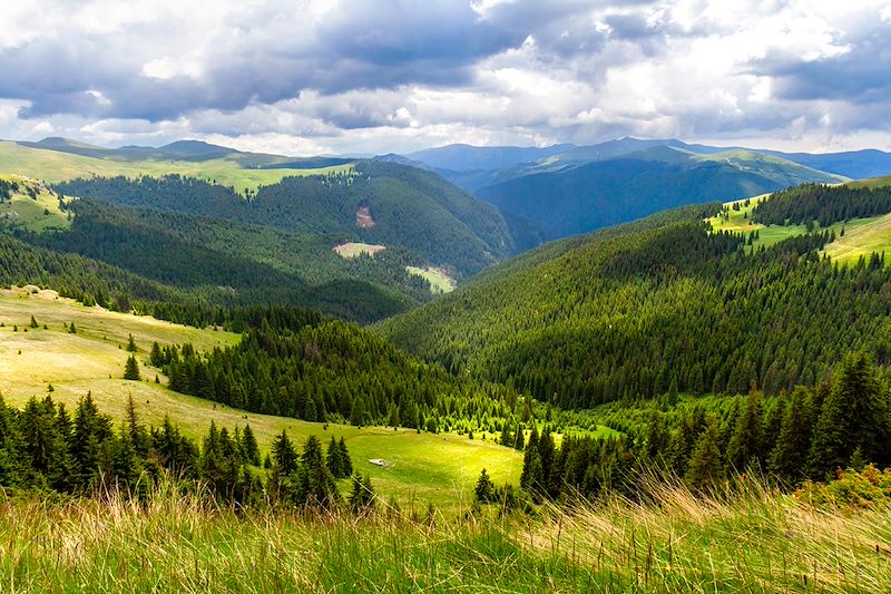 Mont Faragas - Alpes de Transylvanie - Roumanie