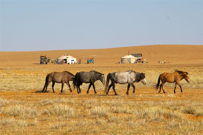 Désert de Gobi - Mongolie