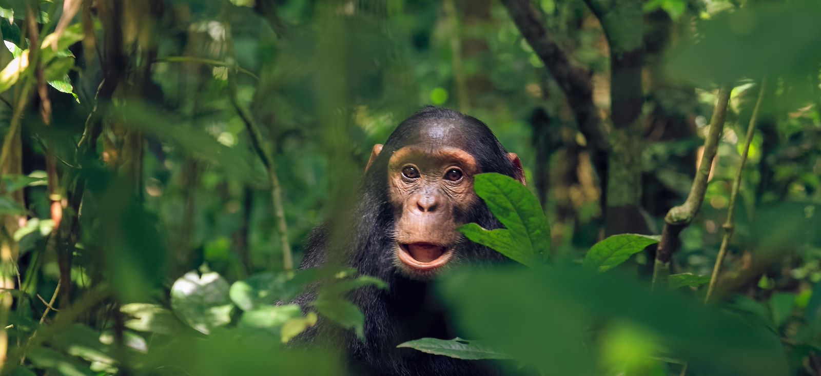 Image Total Rwanda !