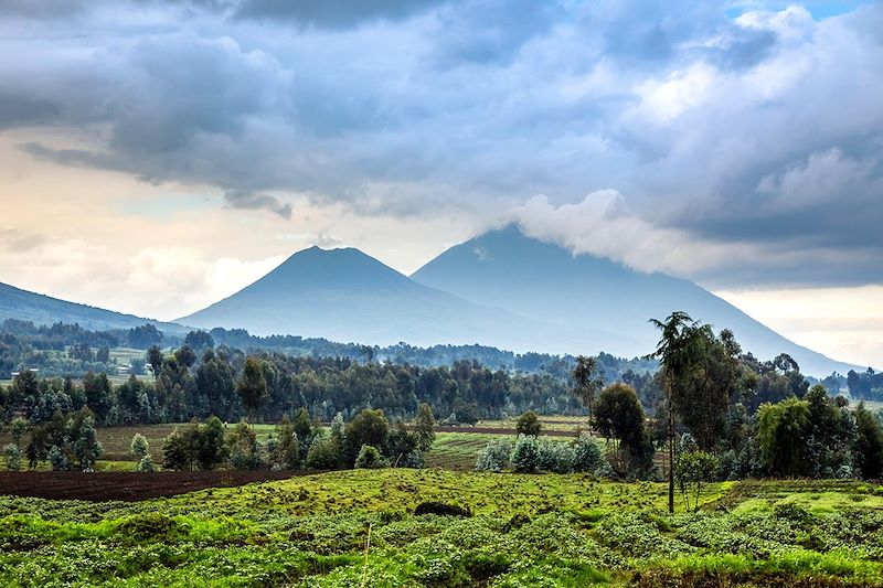 Virunga National Park - Rwanda